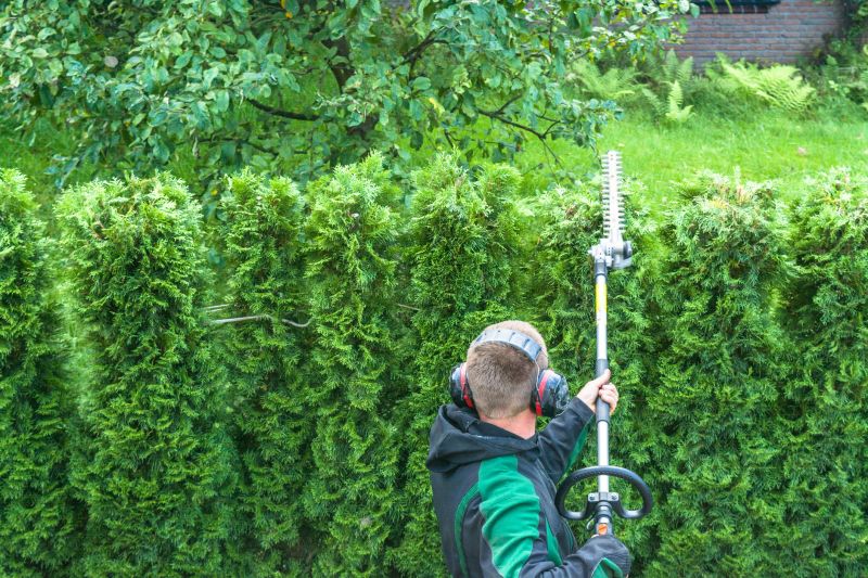 Hedge Pruning