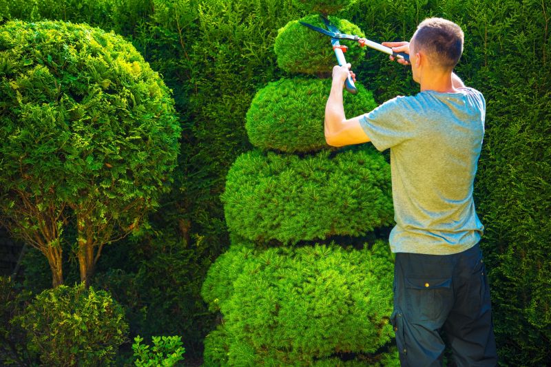 Shrub Pruning