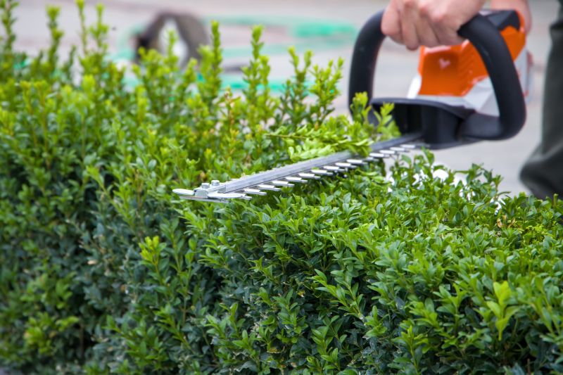 Hedge Shaping Service in Aiken, SC